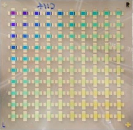 Combinatorial Substrate